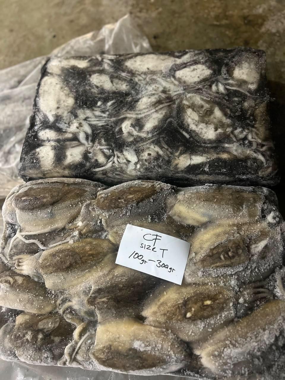 Cuttlefish product