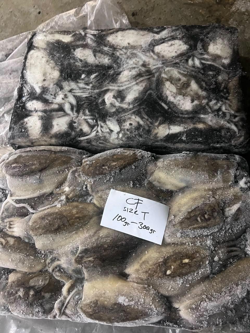 Prepared cuttlefish product