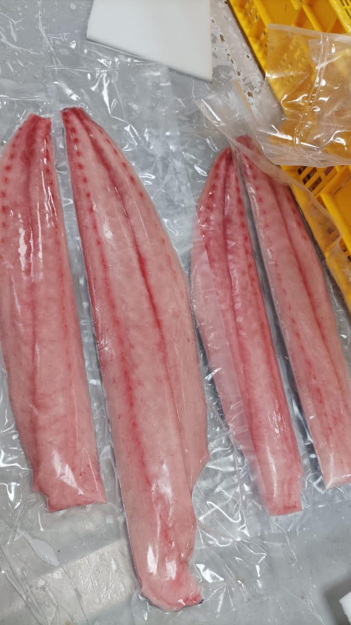 Prepared mahi-mahi fillets on ice
