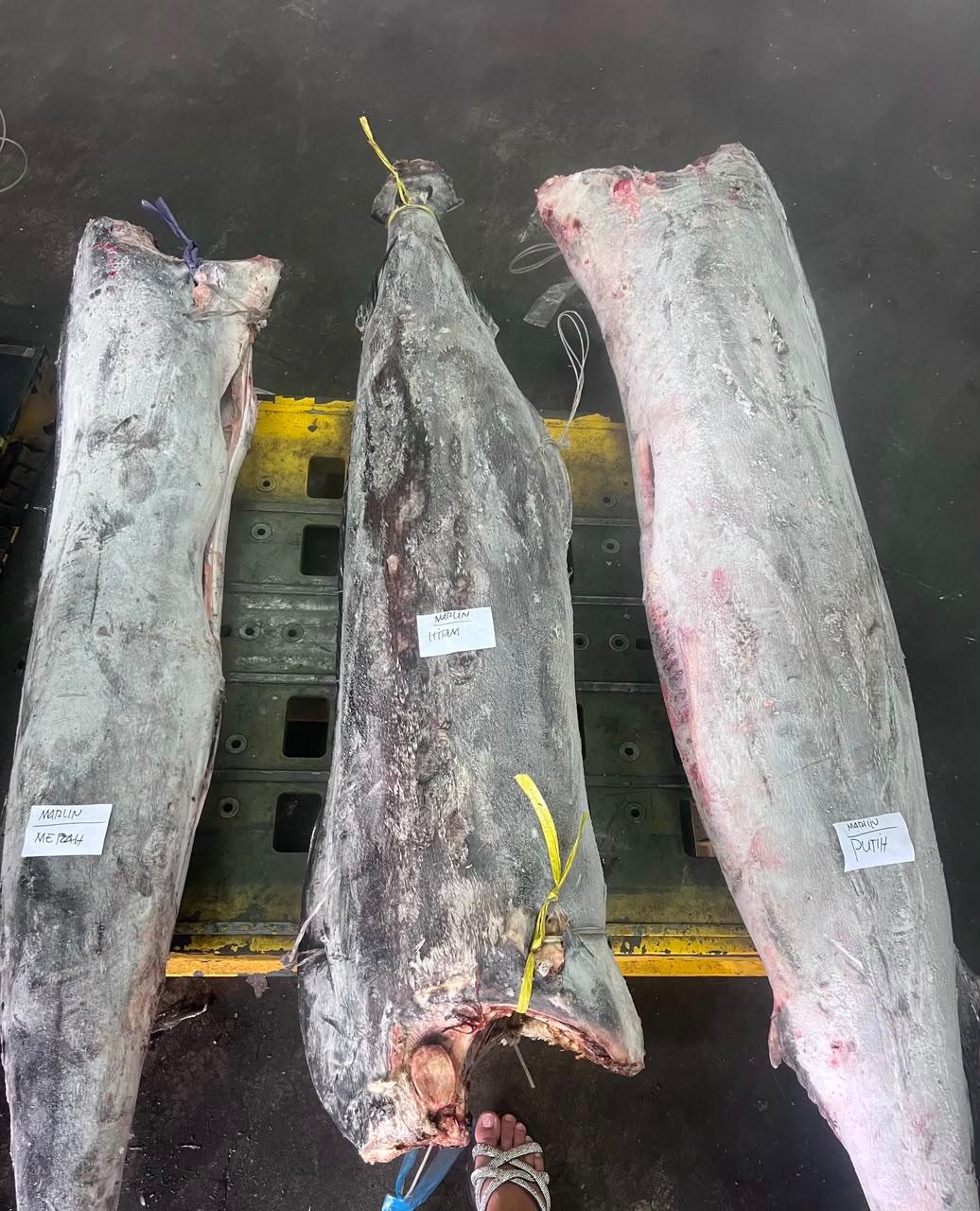 Marlin product