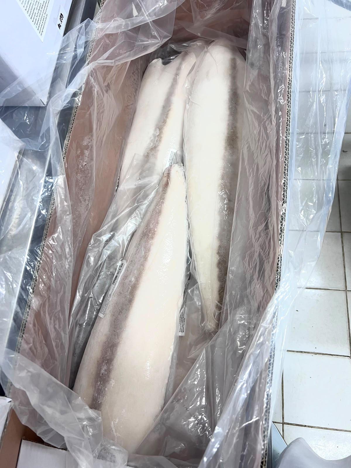 Oilfish gindara fillet