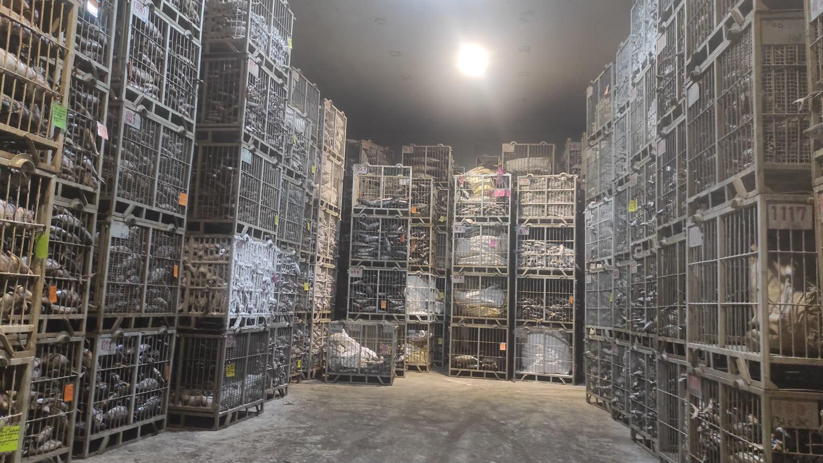 Seafood inventory in cold storage